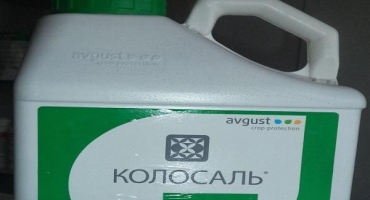 Návod k použití fungicidu kolosal, spotřeba a analogy